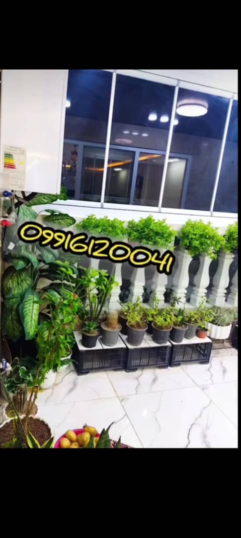 اجرای دقیق